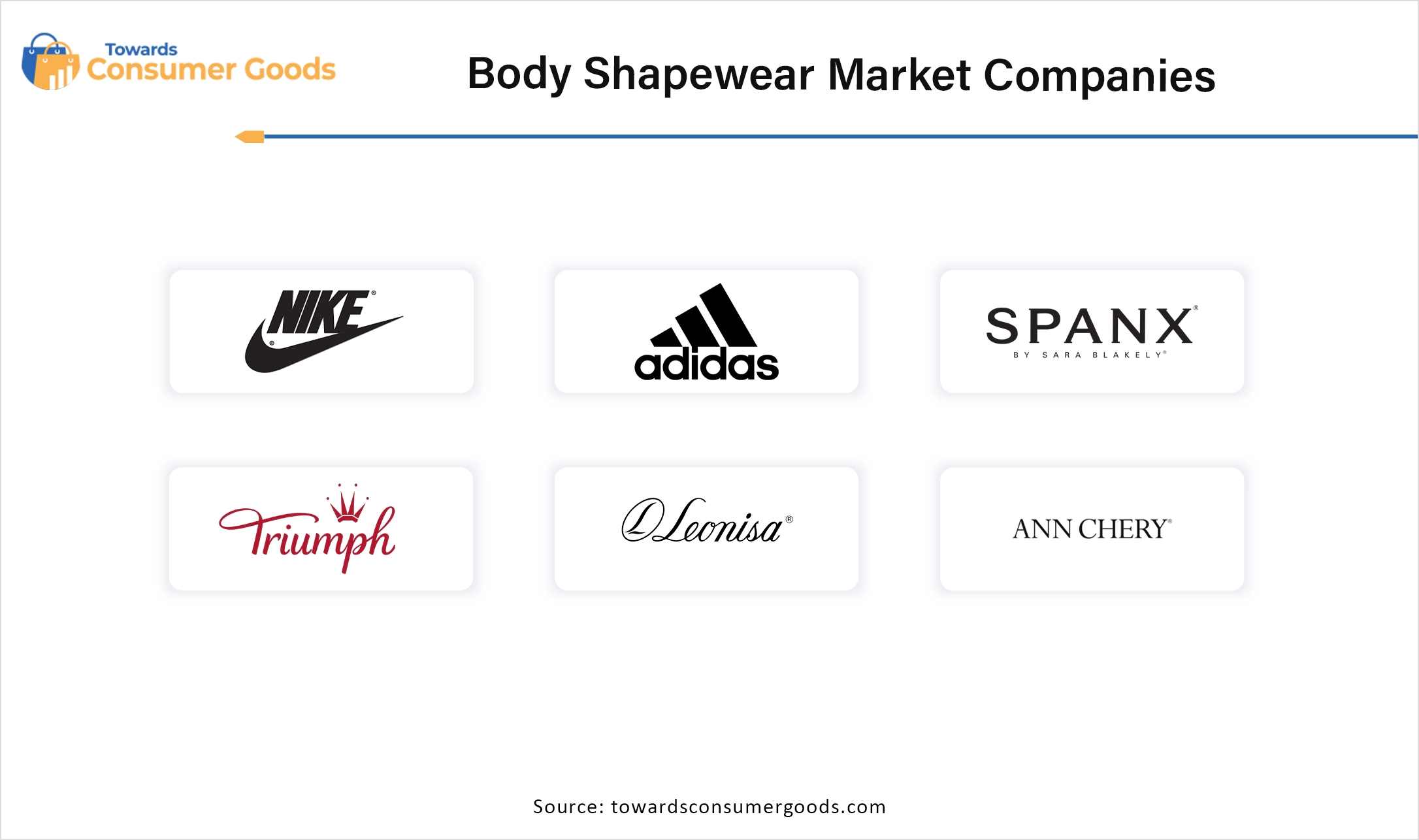 Body Shapewear Market  Companies