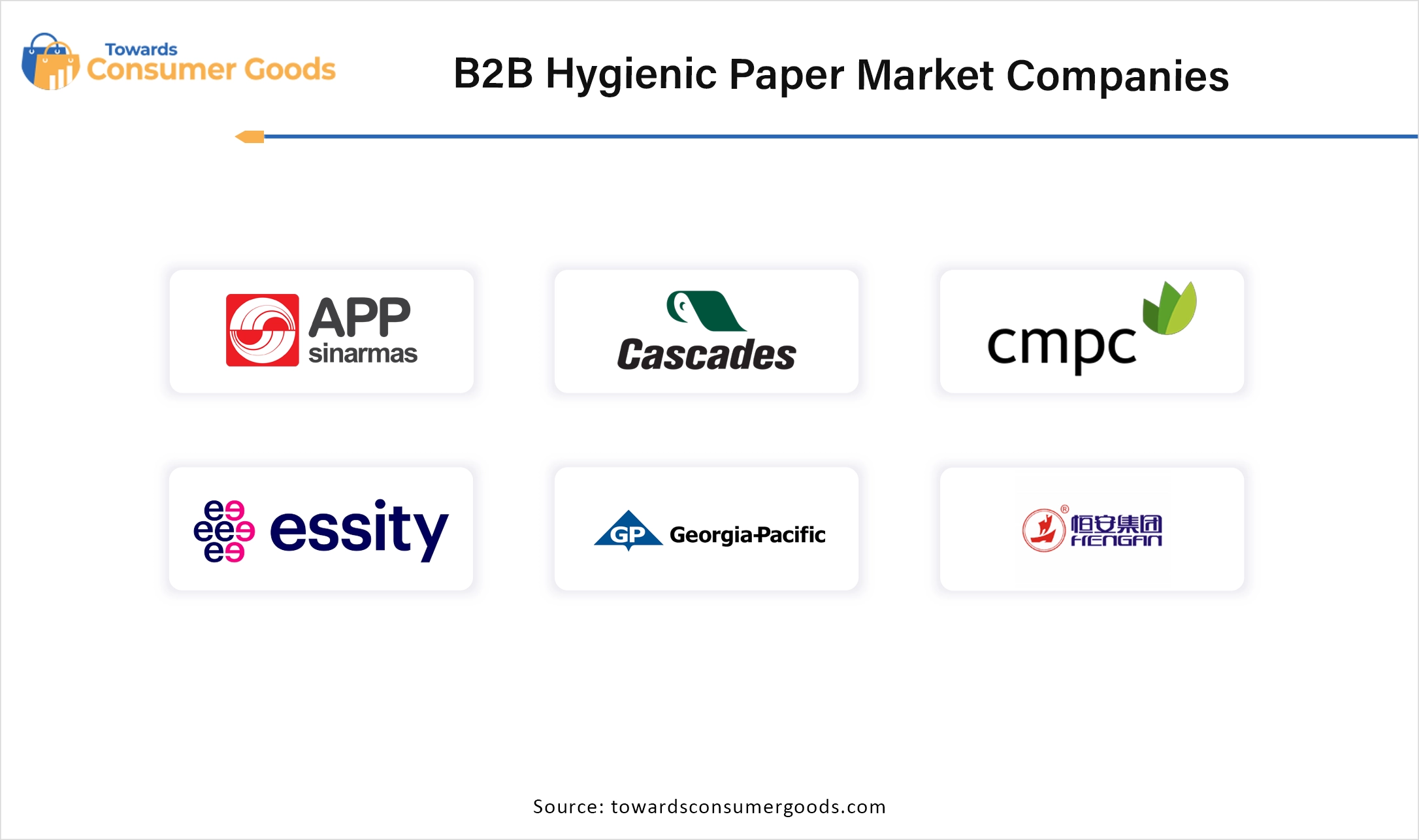 B2B Hygienic Paper Market Companies