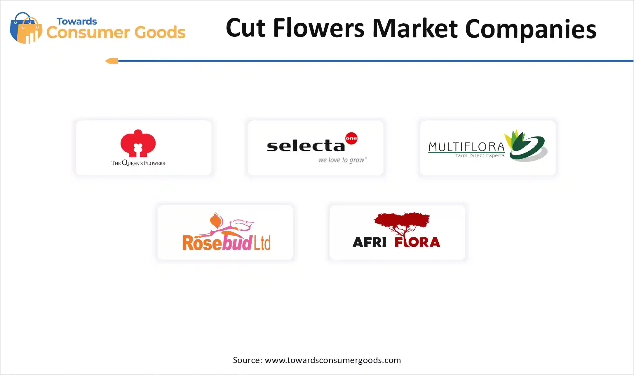 Cut Flower Market Companies