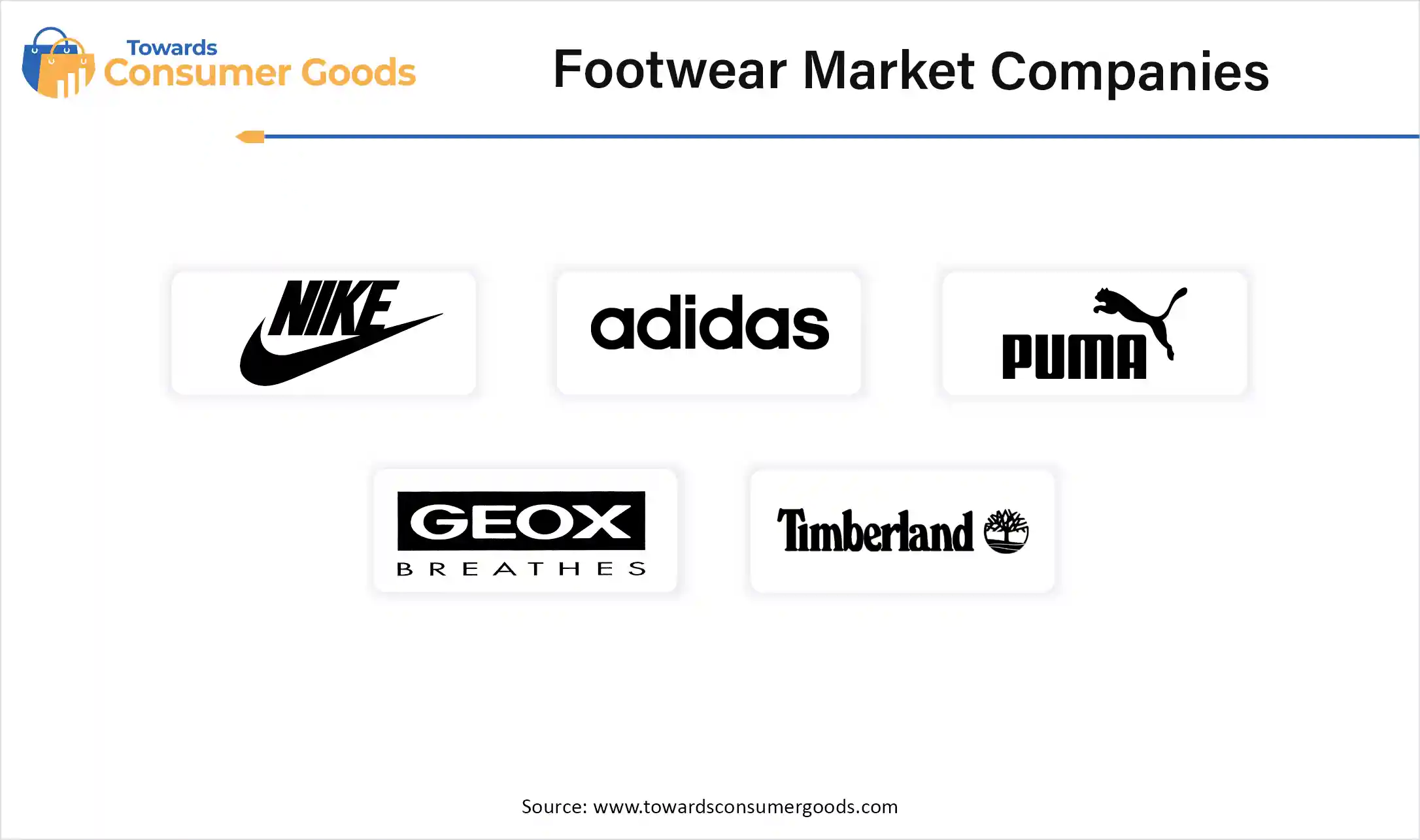  Footwear Market Companies 