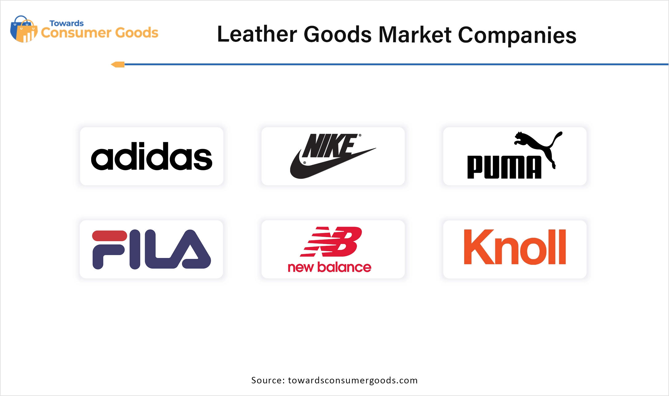 Leather Goods Market Top Companies