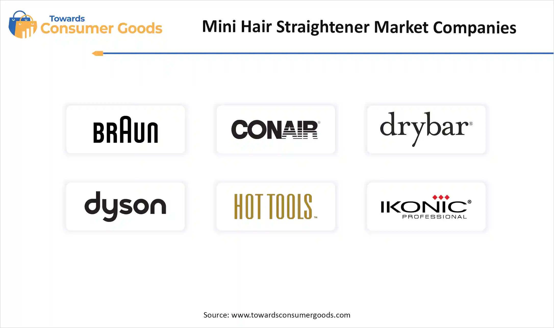 Mini Hair Straightener Market  Companies