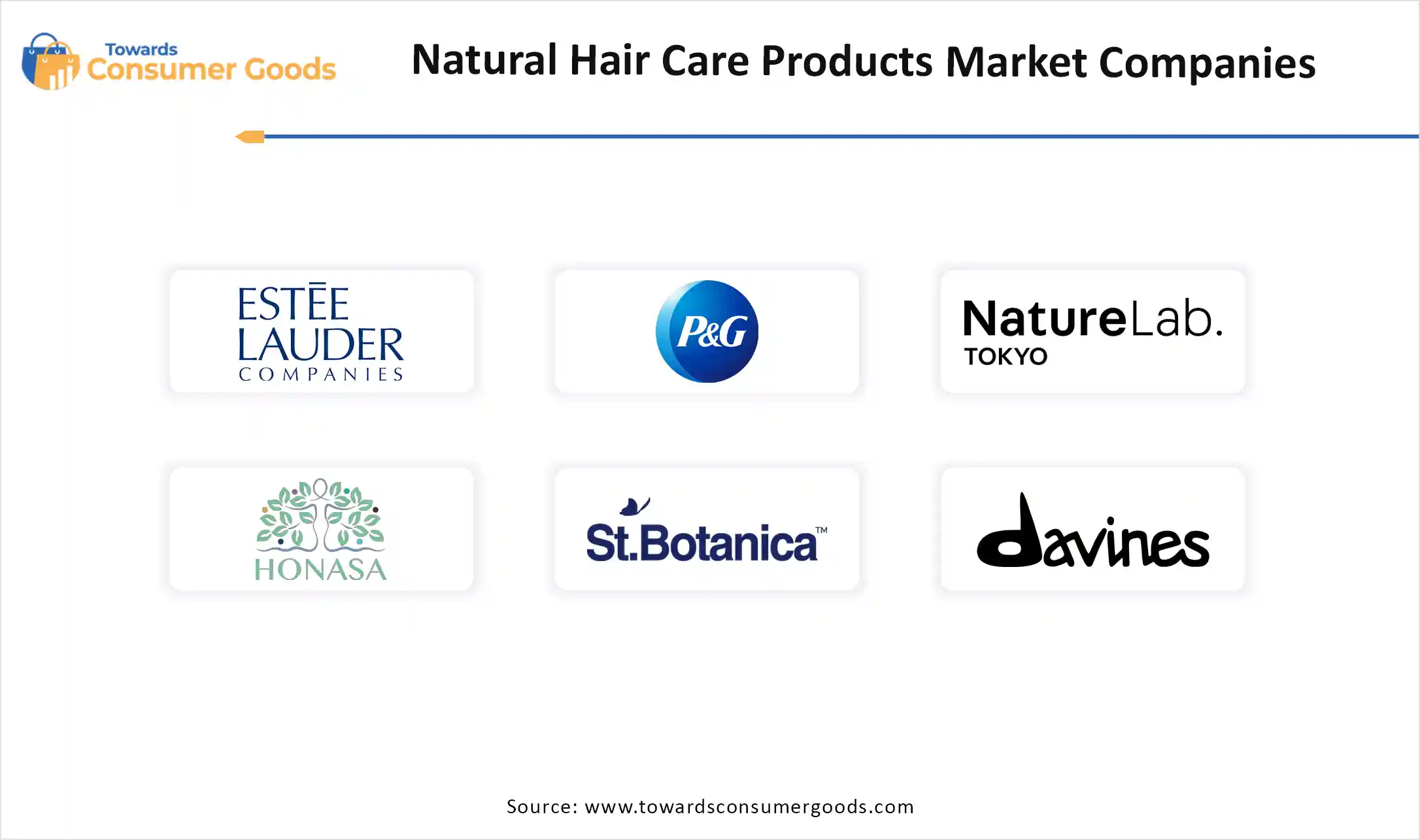 Natural Hair Care Products Market Top Companies