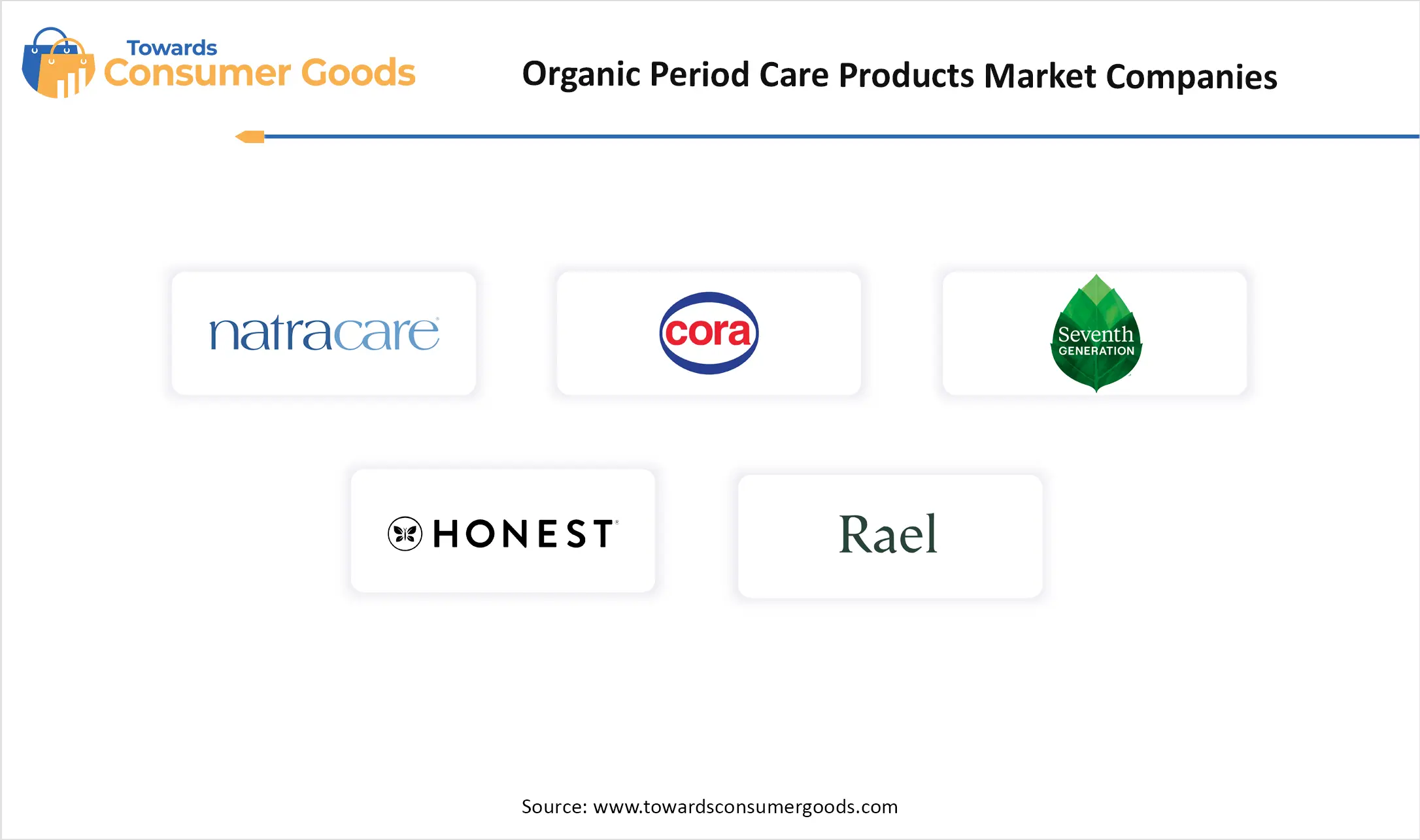 Garage Organization and Storage Market Companies