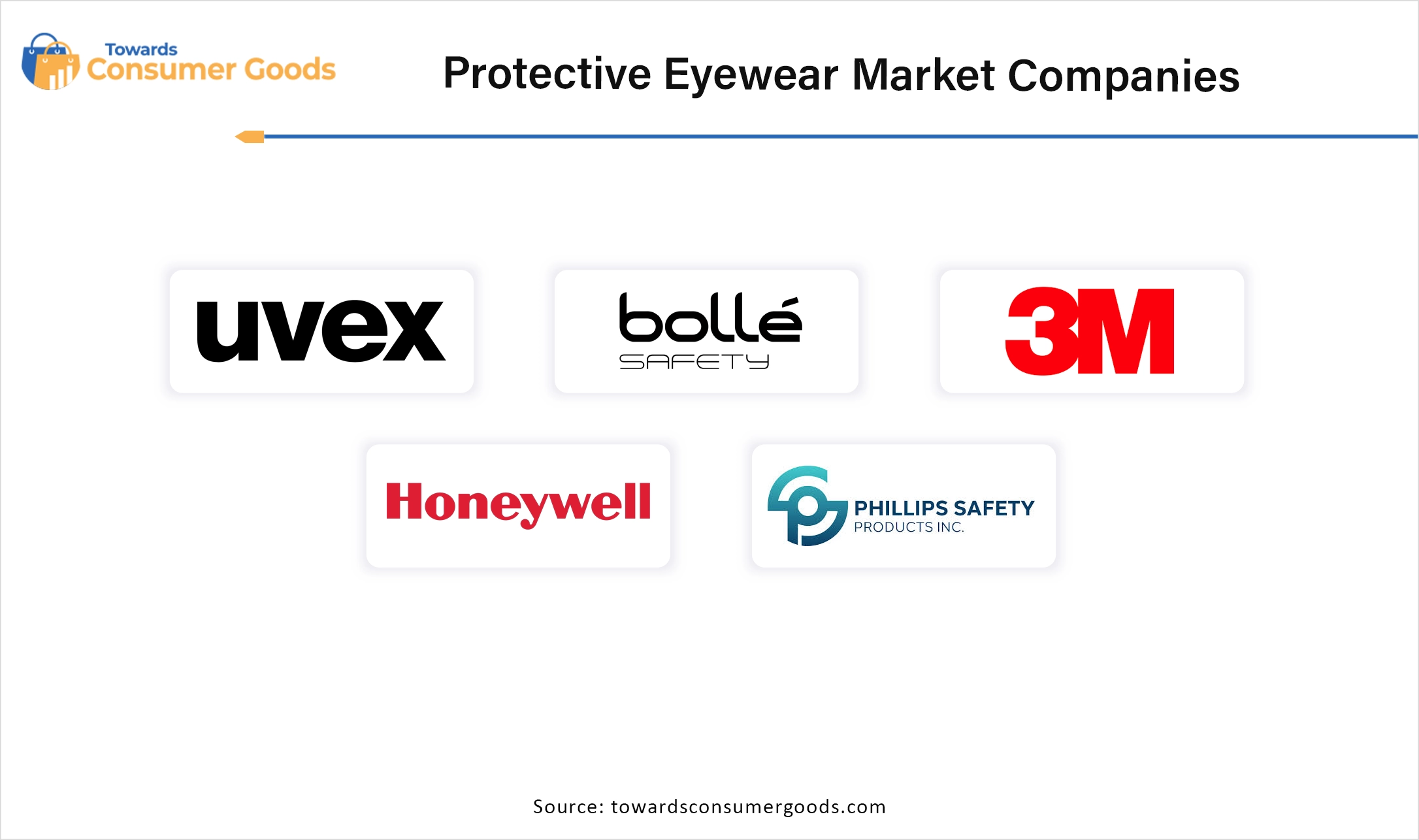 Protective Eyewear Market Companies